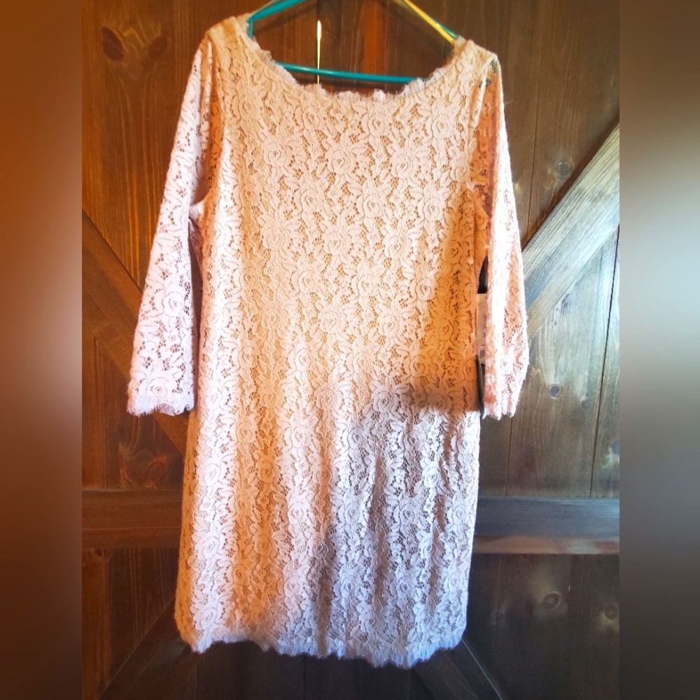 NWT Eliza J Blush Pink Blush Lace Sheath Dress